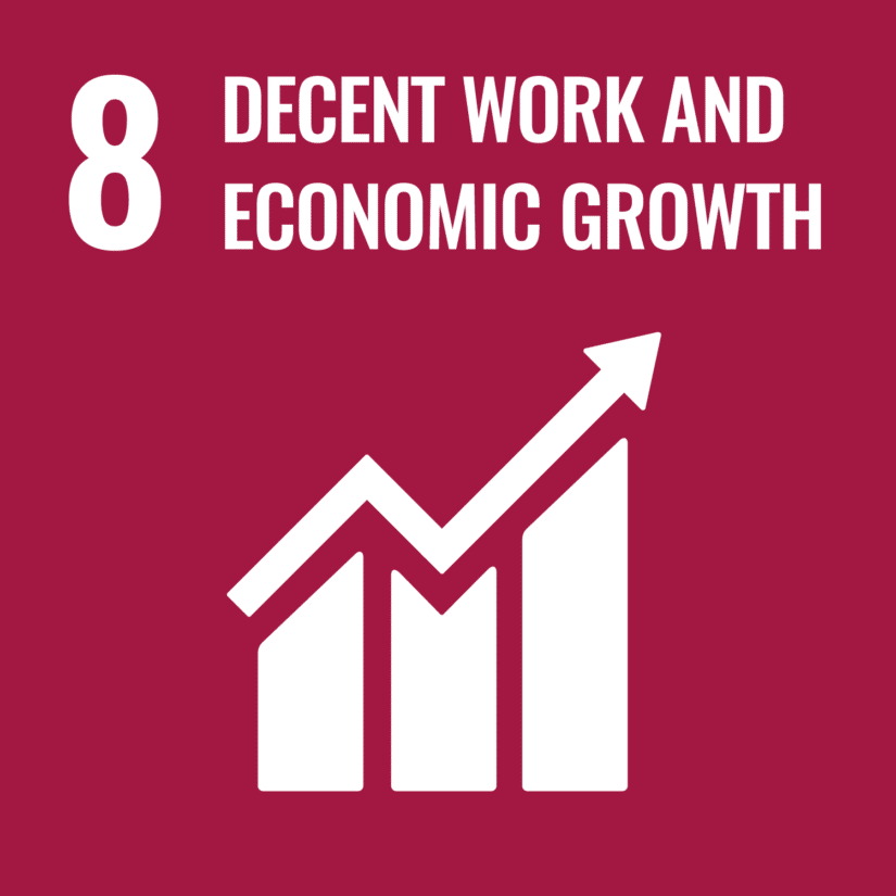 Sustainable Development Goals #8 - Decent Work and Economic Growth