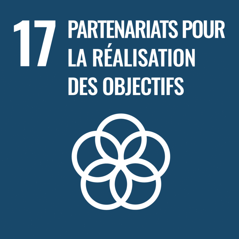 Objectifs de Développement Durable #17 - Partenariats pour la réalisation des objectifs
