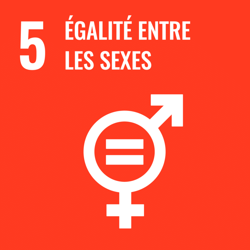 Objectifs de Développement Durable #5 - Égalité entre les sexes