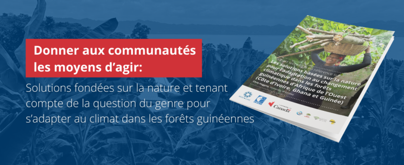 Les solutions fondées sur la nature reposent sur l’idée que les meilleures solutions à nos plus grands défis peuvent souvent être trouvées dans la nature elle-même.