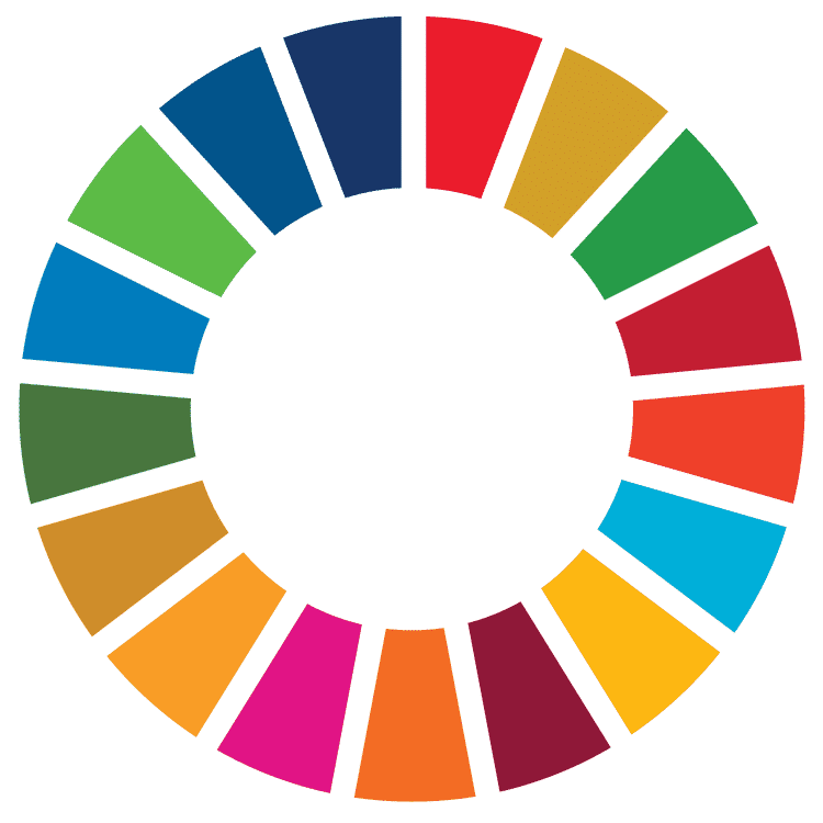 SDG Wheel