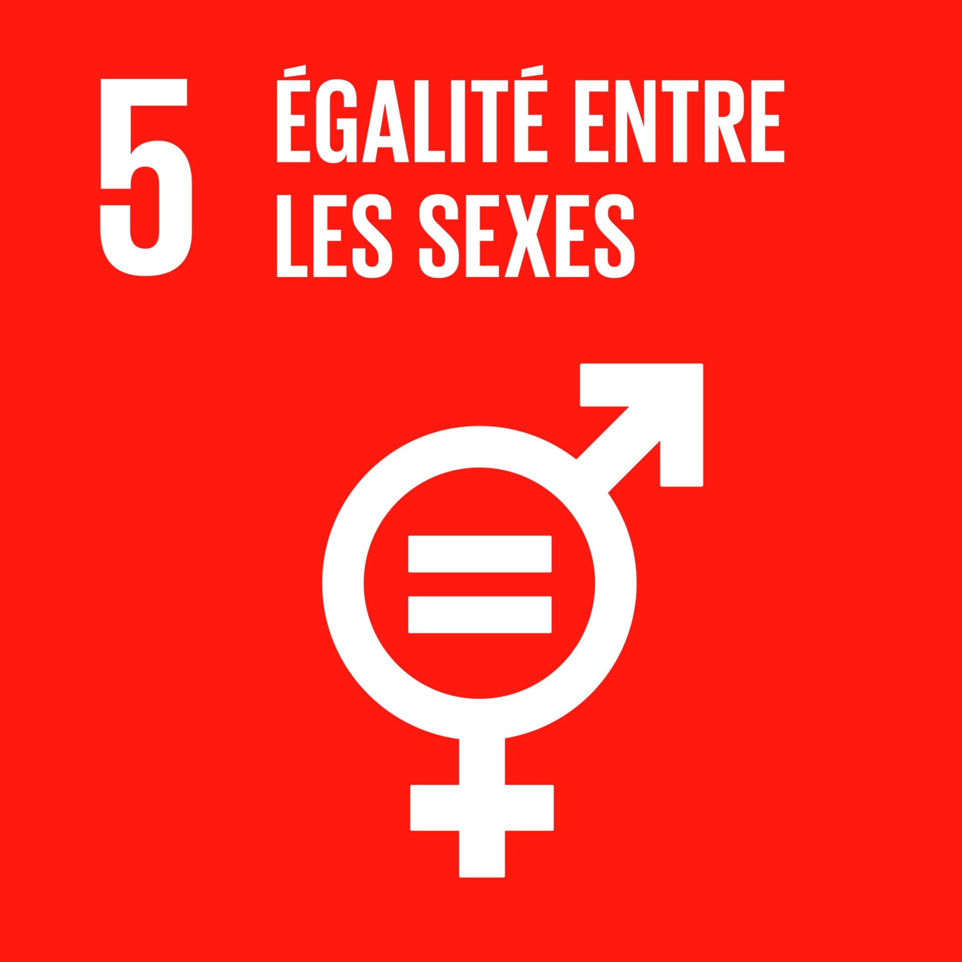 ODD 5 : Égalité entre les sexes