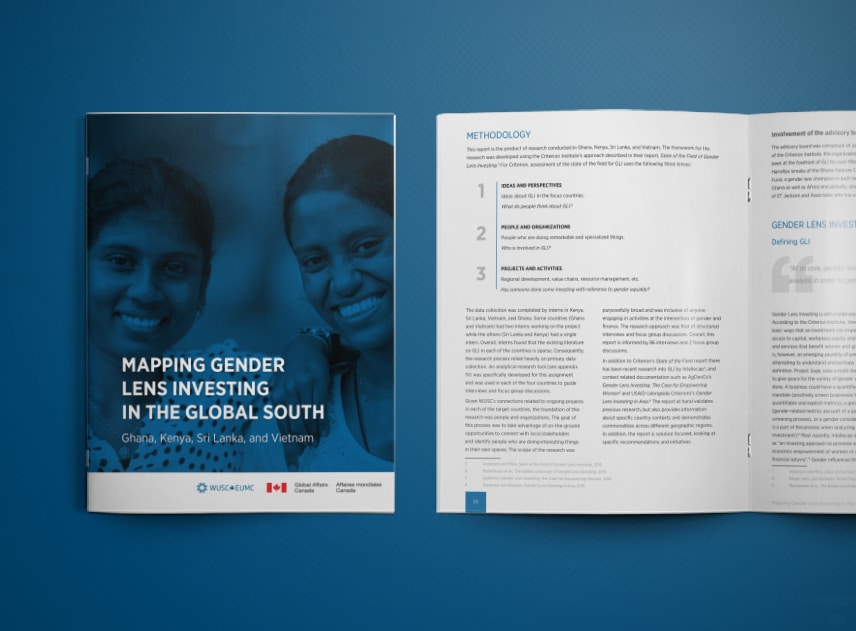 mapping gender lens investing