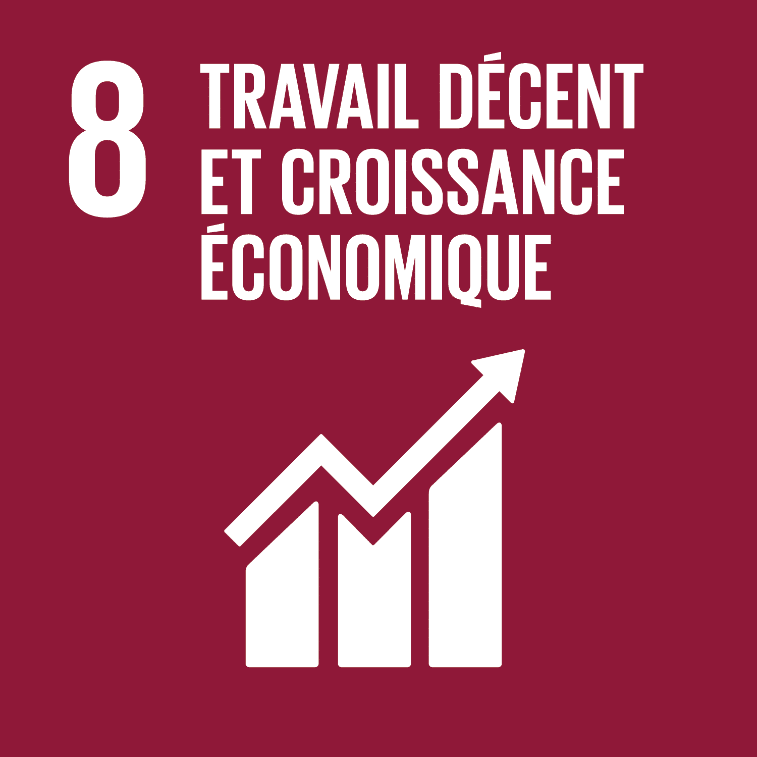 ODD 8: Travail décent et croissance économique